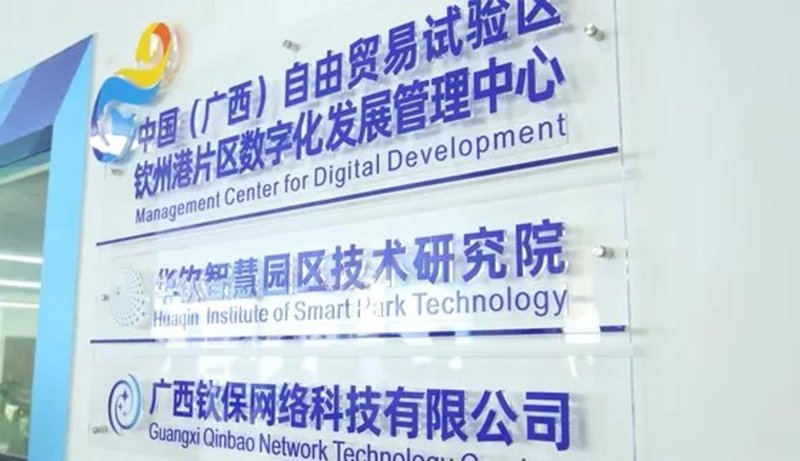 广西贸易公司的成功案例:多元化策略如何助力企业长足发展